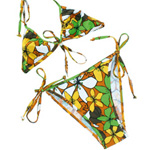 Bikini Triangle