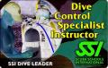 DCSI_neu