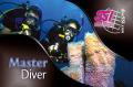 Masterdiver