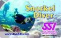Snorkel Diver